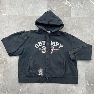 VINTAGE DISNEY GRUMPY DWARF HOODIE MENS XL FLEECE LINED EMBROIDERED